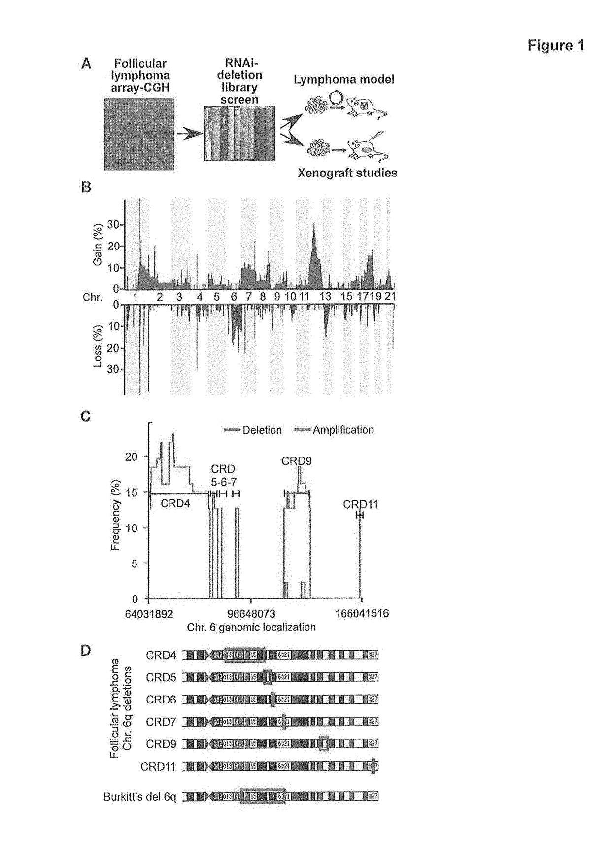 Anti-tumor antibody-tumor suppressor fusion protein compositions and methods of use for the treatment of cancer