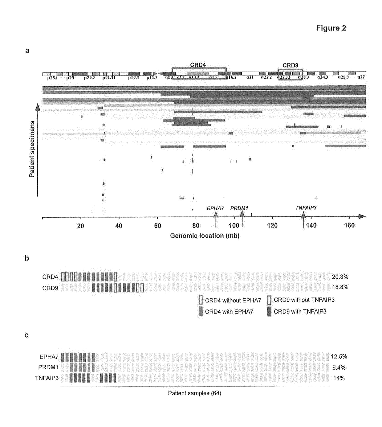 Anti-tumor antibody-tumor suppressor fusion protein compositions and methods of use for the treatment of cancer