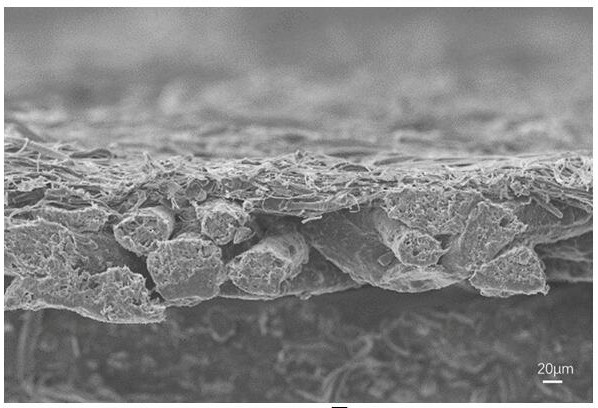 Waterproof and moisture-permeable degradable fiber-based nonwoven composite material and preparation method thereof