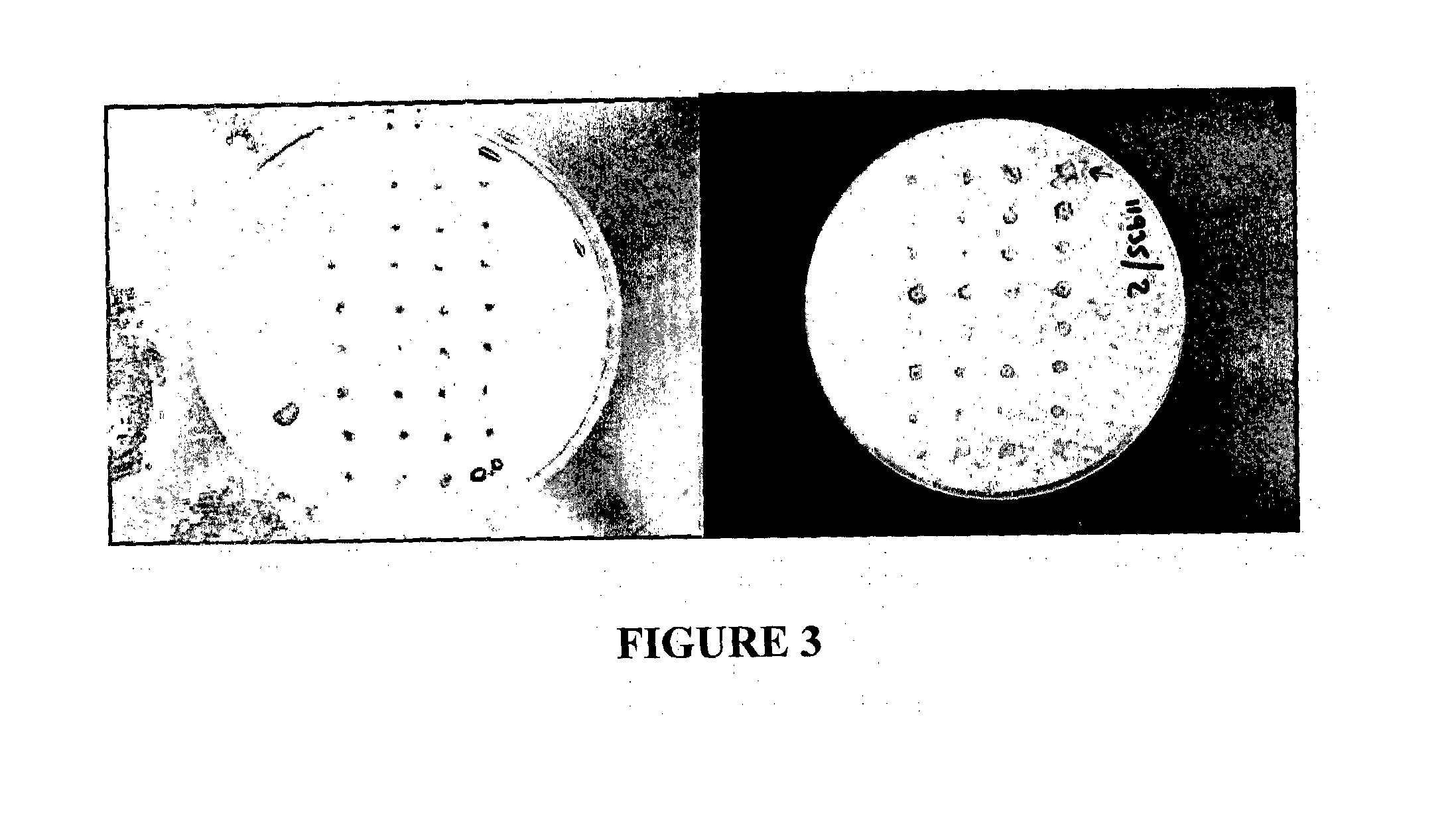 Screening methods