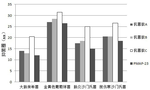 Porcine antibacterial peptide PMAP-23 variant and application thereof in preparation of feed