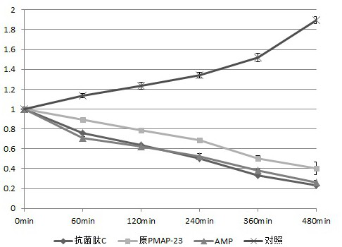 Porcine antibacterial peptide PMAP-23 variant and application thereof in preparation of feed