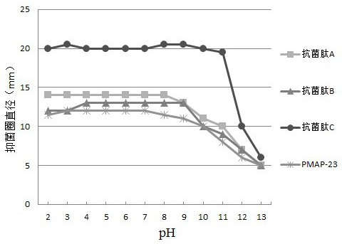 Porcine antibacterial peptide PMAP-23 variant and application thereof in preparation of feed