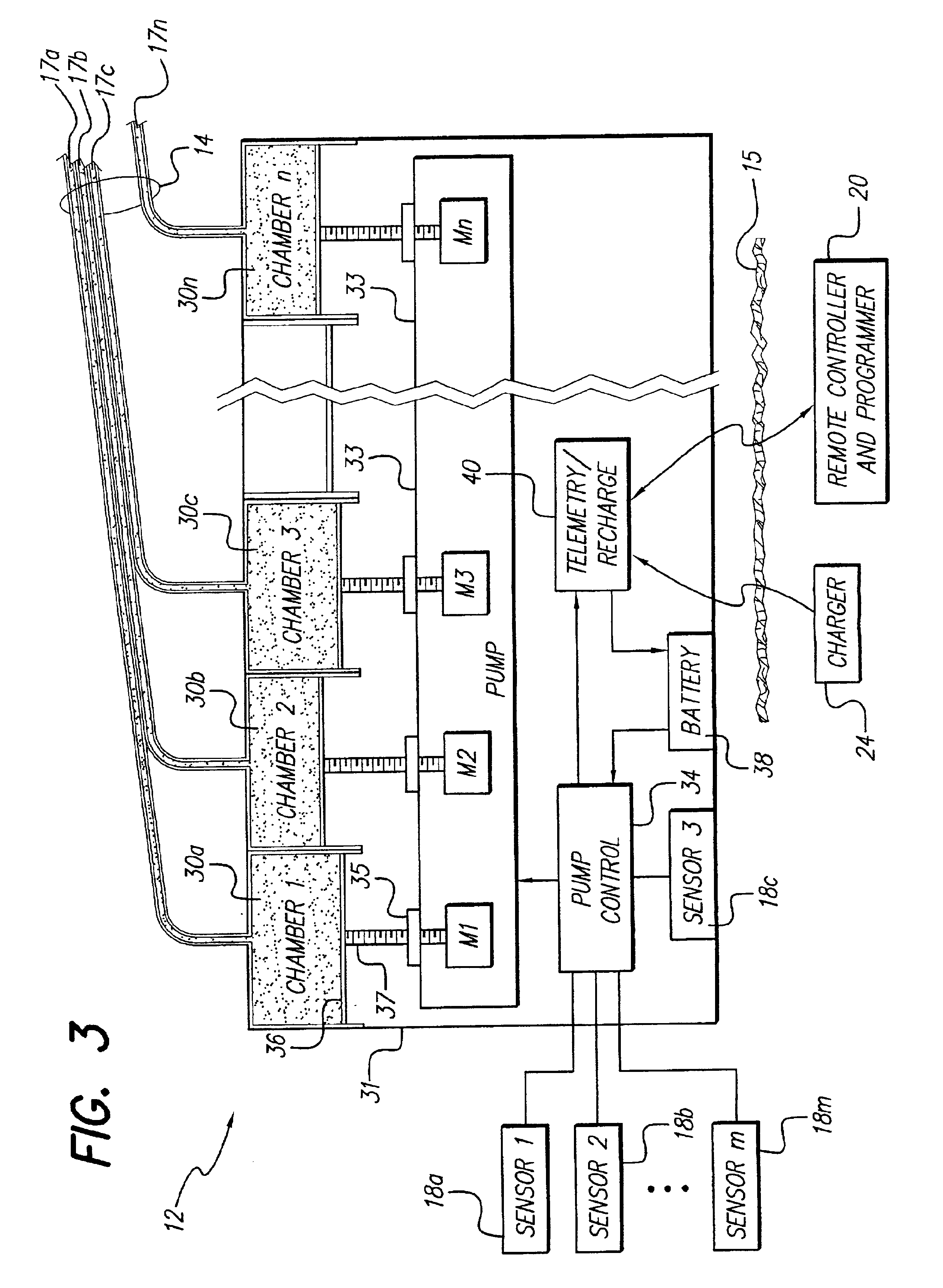 Programmable implantable pump with accessory reservoirs and multiple independent lumen catheter