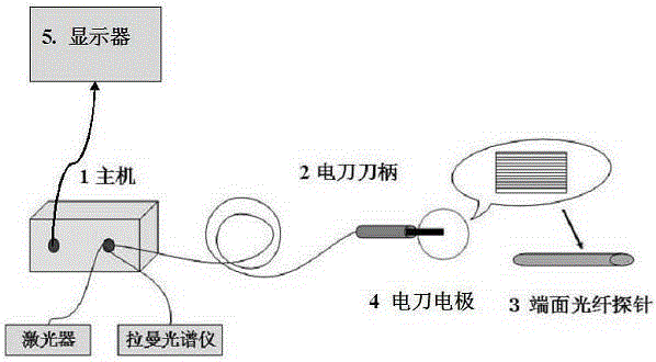 High frequency electric operating knife with fiber probe