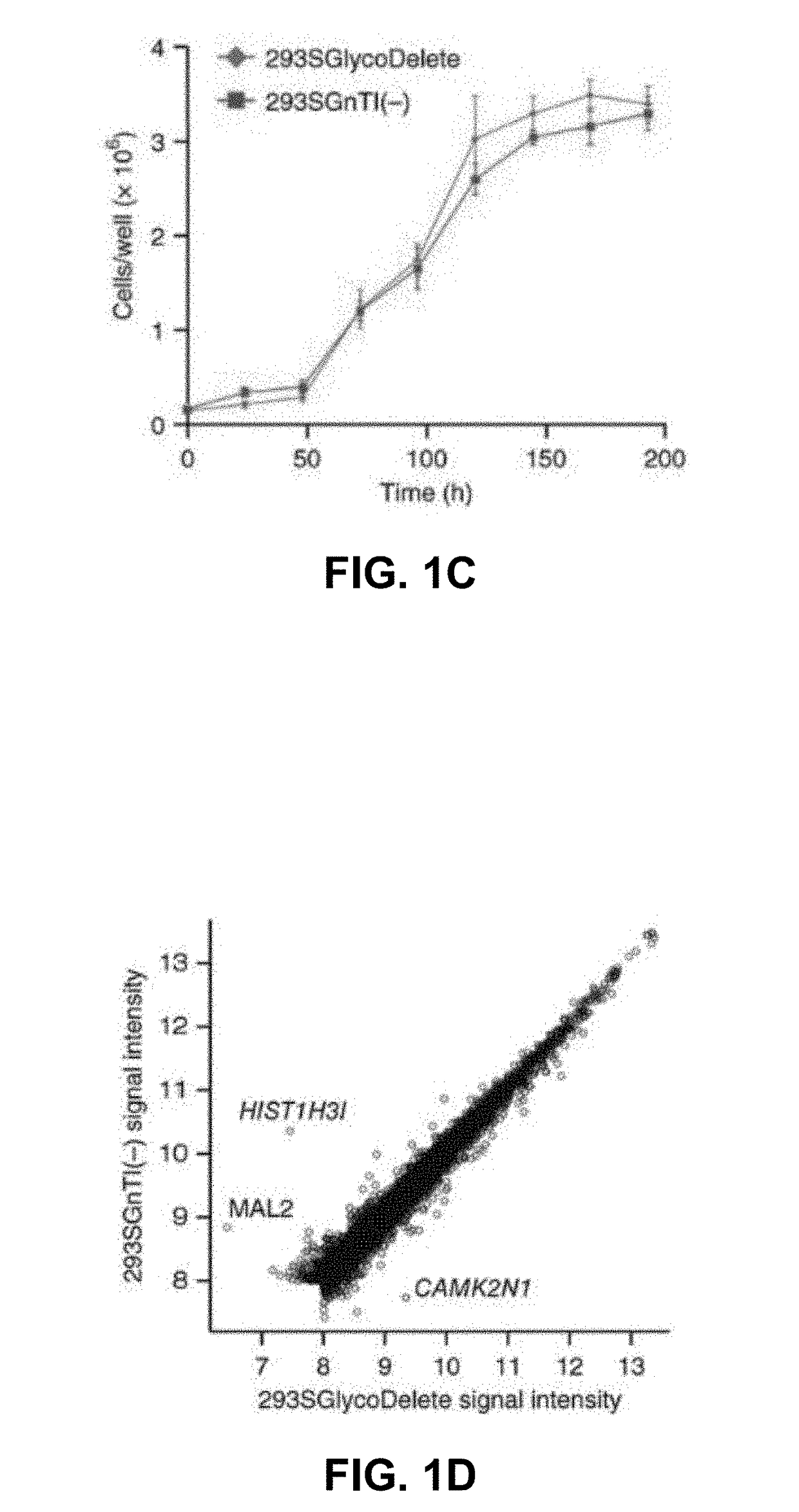 Cells producing fc containing molecules having altered glycosylation patterns and methods and use thereof