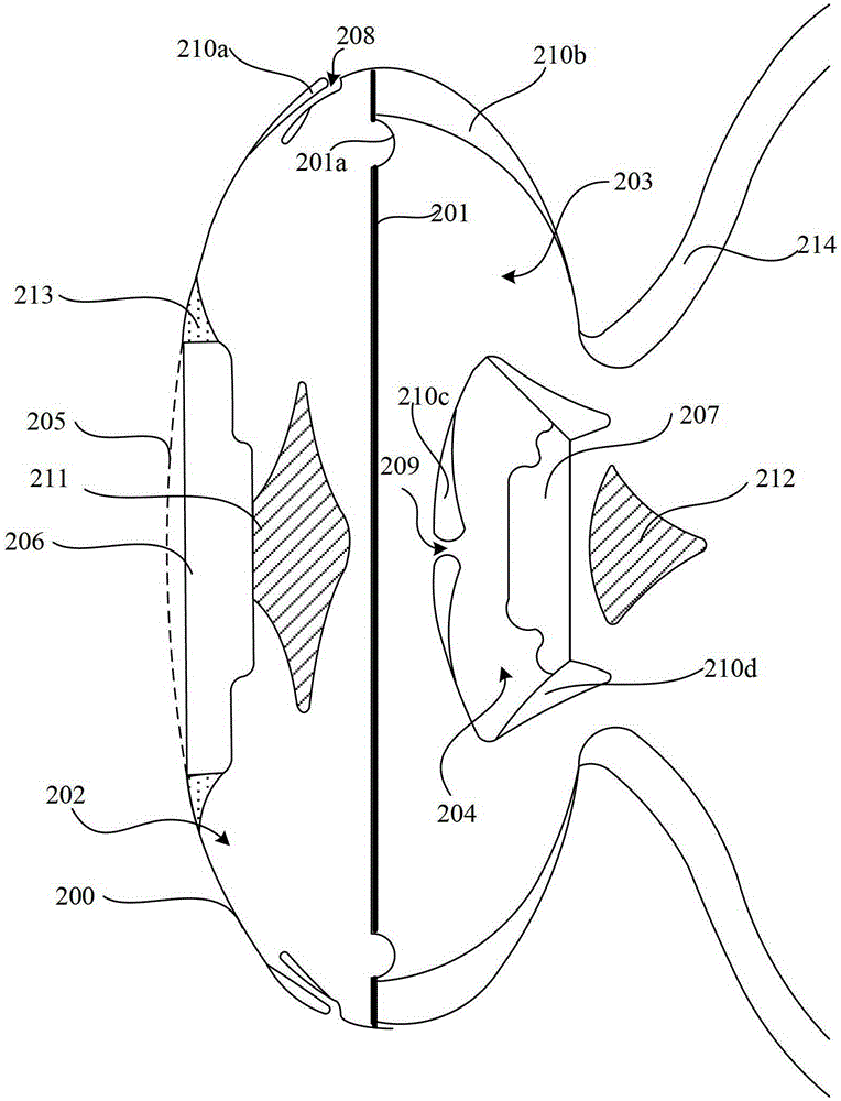 A kind of double horn earphone