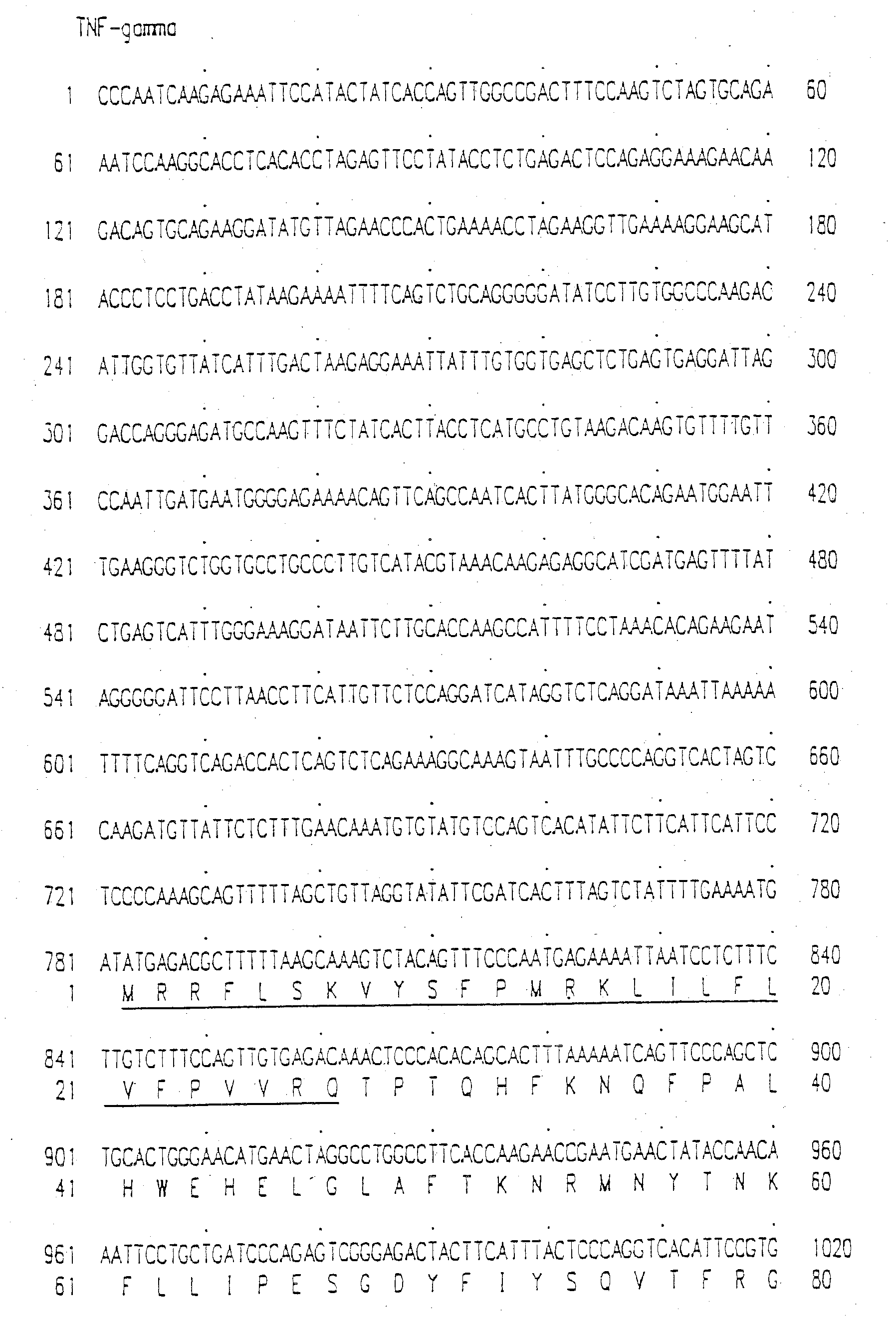 Tumor Necrosis Factor-Gamma