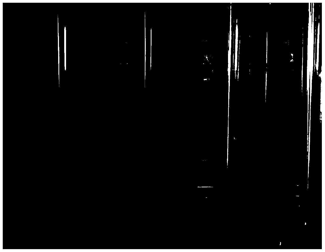 Nucleic acid test strip for detecting cucumber green mottle mosaic virus and its application