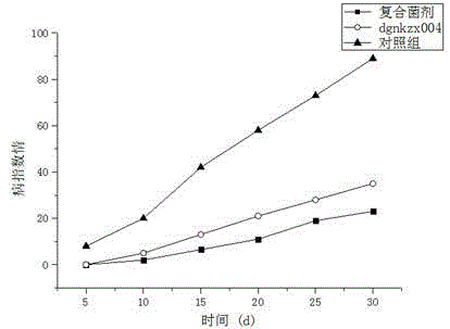 Application of paenibacillus polymyxa dgnkzx004 in cultivating aeschynanthus pulcher