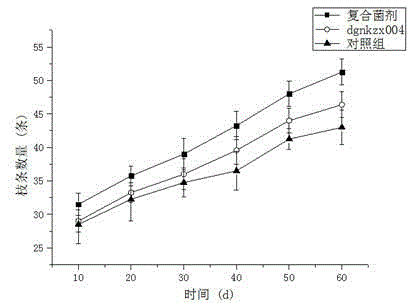 Application of paenibacillus polymyxa dgnkzx004 in cultivating aeschynanthus pulcher