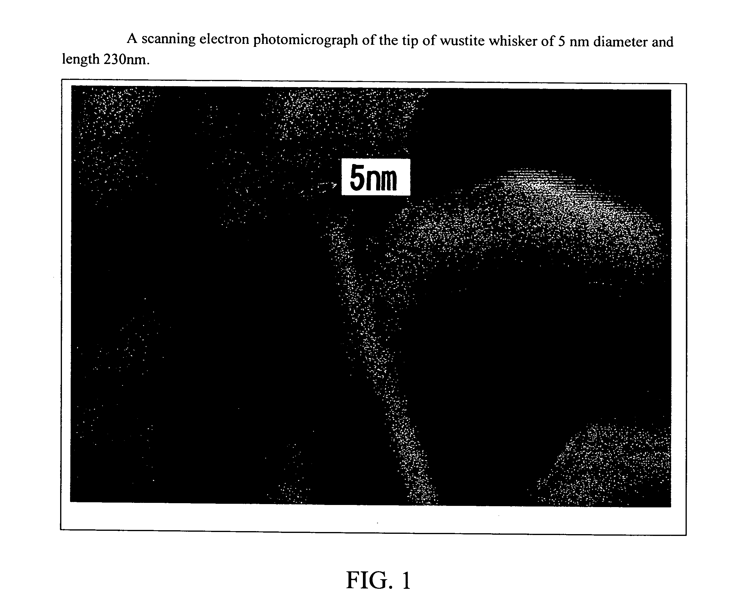 Iron Oxide Whisker of High Aspect Ratio, Titanium Oxide Whisker of High Aspect Ratio, Structure Containing These and Process for Producing Them