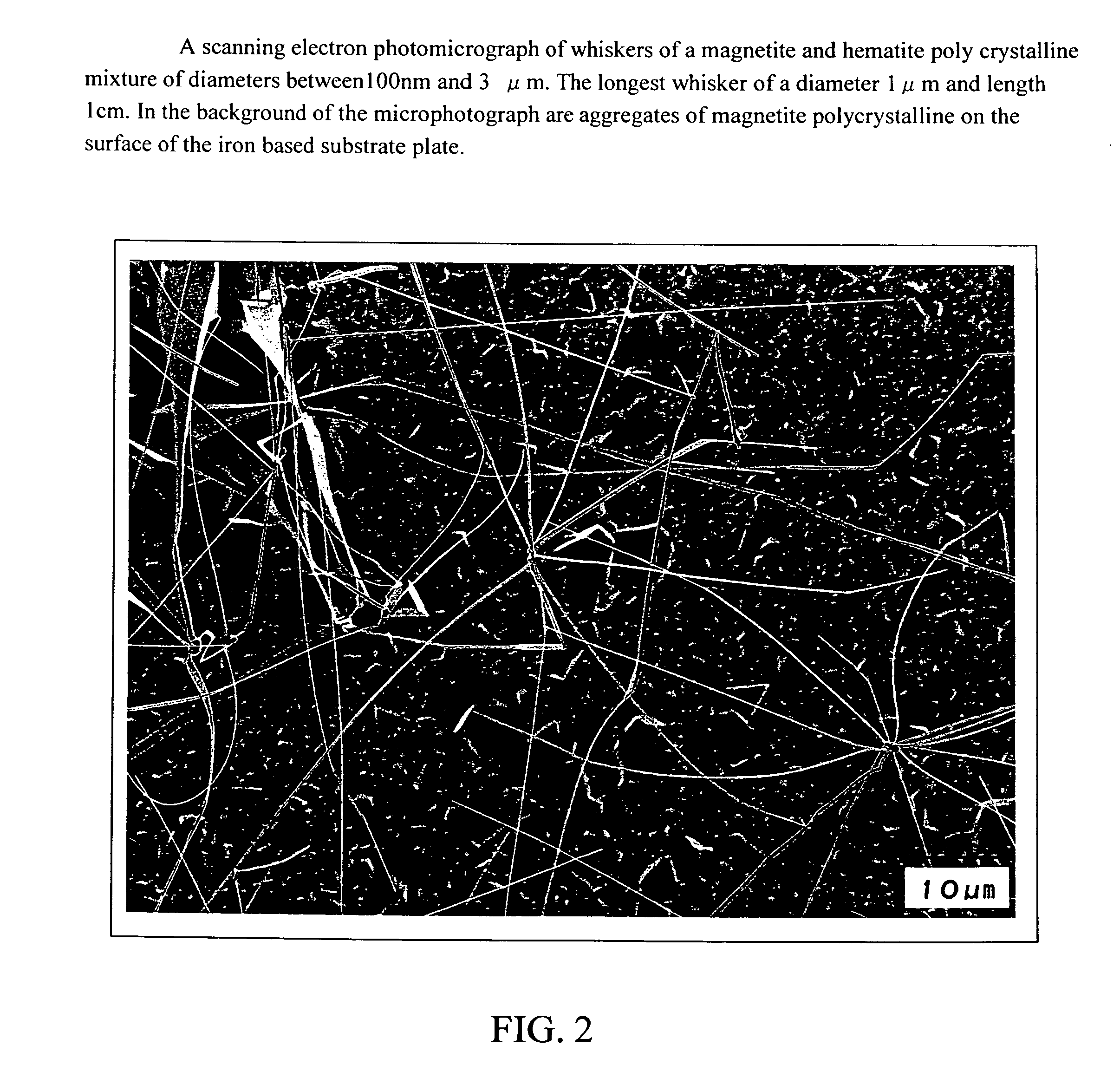 Iron Oxide Whisker of High Aspect Ratio, Titanium Oxide Whisker of High Aspect Ratio, Structure Containing These and Process for Producing Them