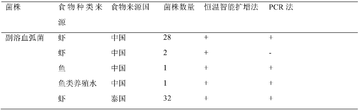 Primer group for detecting vibrio parahaemolyticus on basis of intelligent constant-temperature amplification technique, kit and method