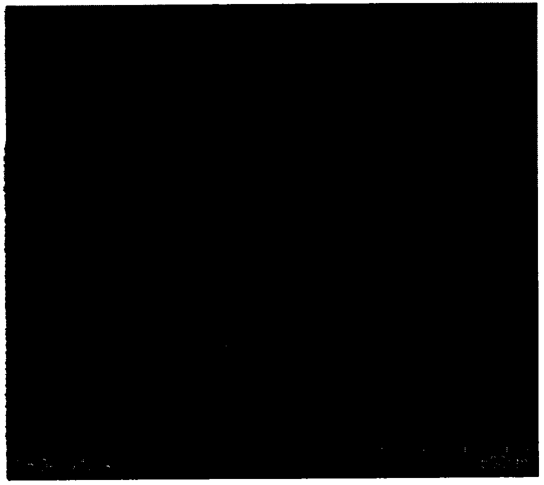 Manufacturing method of flexible titanium dioxide/carbon composite porous nanofiber membrane material