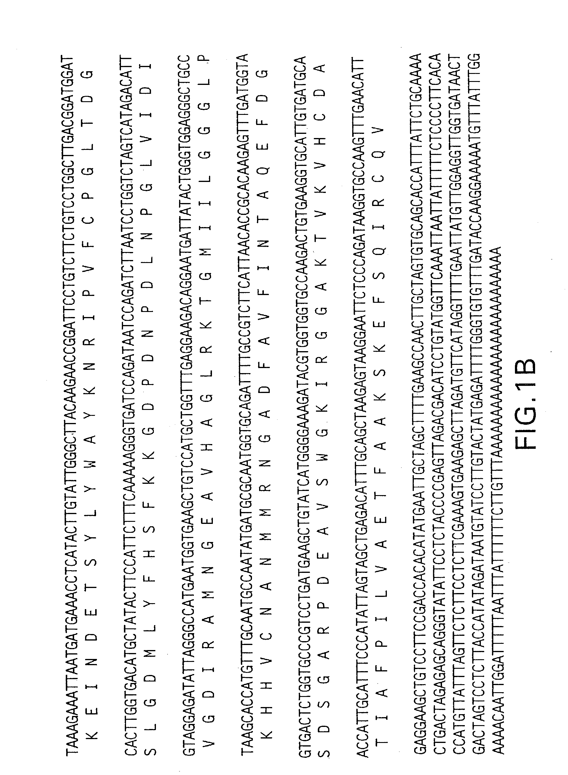 DNA encoding a plant deoxyhypusine synthase, a plant eukaryotic initiation factor 5A, transgenic plants and a method for controlling senescence programmed and cell death in plants