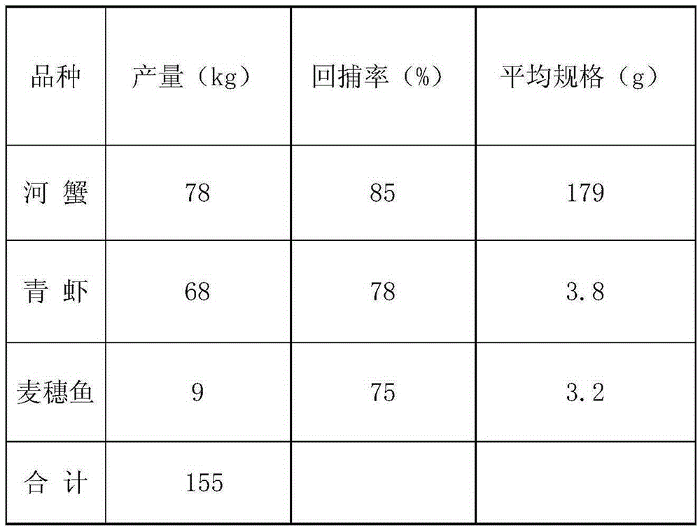 A kind of ecological breeding method for efficient polyculture of river crab, freshwater shrimp and wheat ear fish