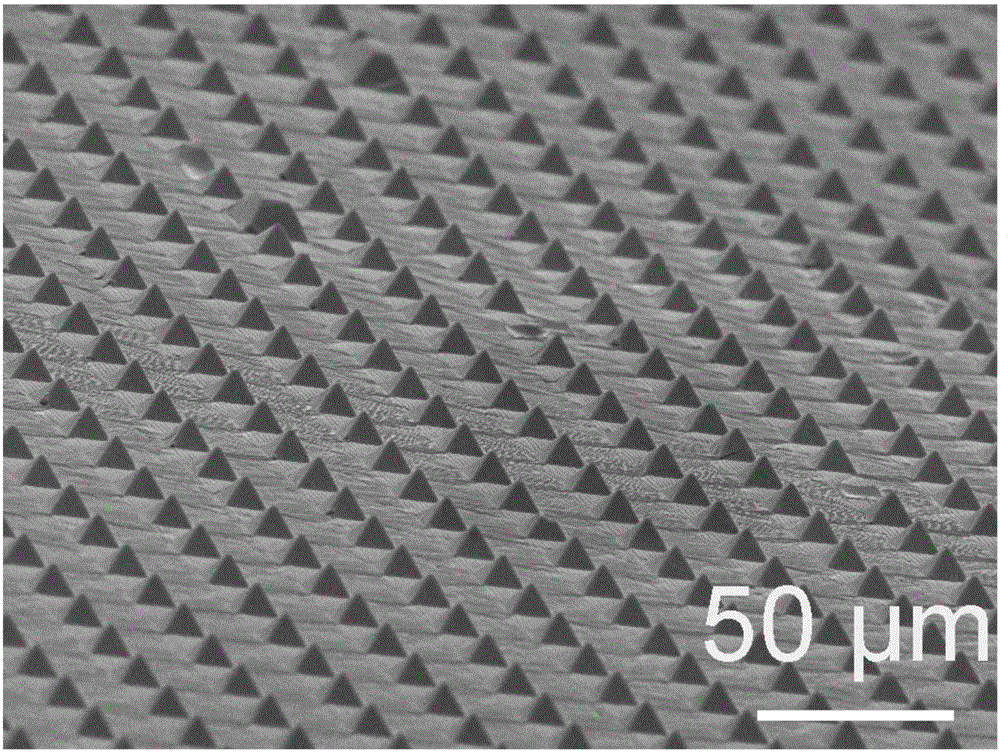 Preparing method for large-area metal nanometer needle-tip array on flexible substrate