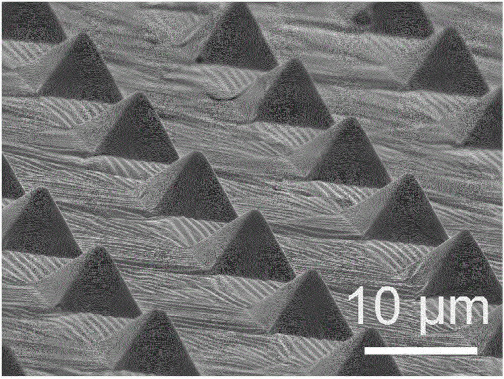 Preparing method for large-area metal nanometer needle-tip array on flexible substrate