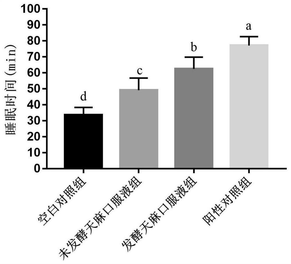 Lactobacillus plantarum and preparation method and application of gastrodia elata oral liquid fermented by lactobacillus plantarum