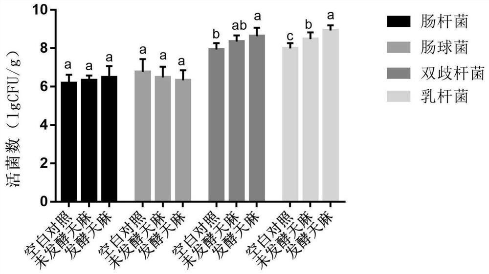 Lactobacillus plantarum and preparation method and application of gastrodia elata oral liquid fermented by lactobacillus plantarum