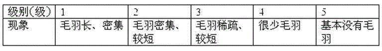 Washing-resisting bamboo fiber textile product and preparation method thereof