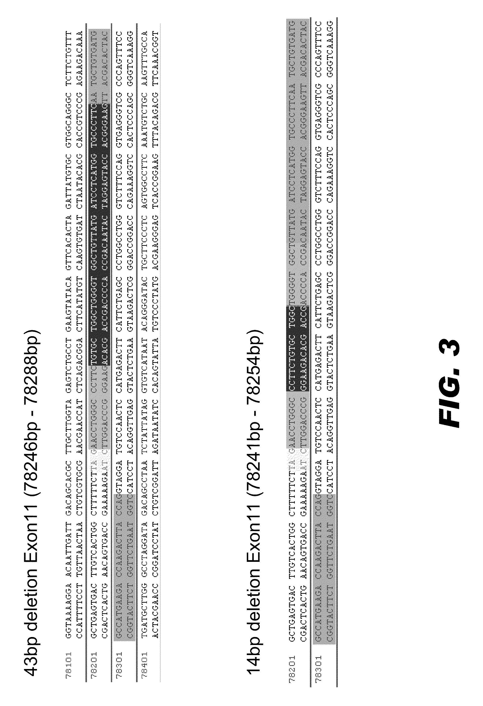 Genome editing of abc transporters