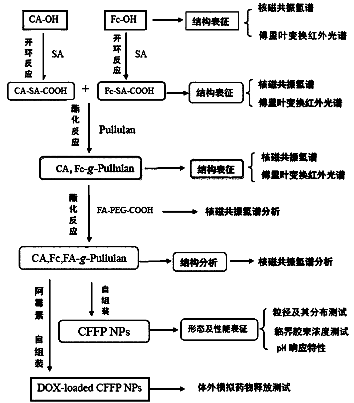 Fenton reagent and adriamycin co-transport targeting nanocarrier and preparation method thereof