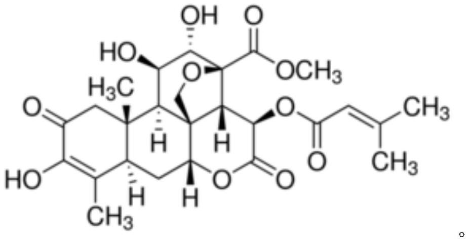 Application of brusatol to preparation of medicine for treating cerebral arterial thrombosis