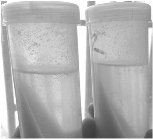 Gel breaking agent for preventing slurry from falling to ground and gel breaking method for waste drilling fluid