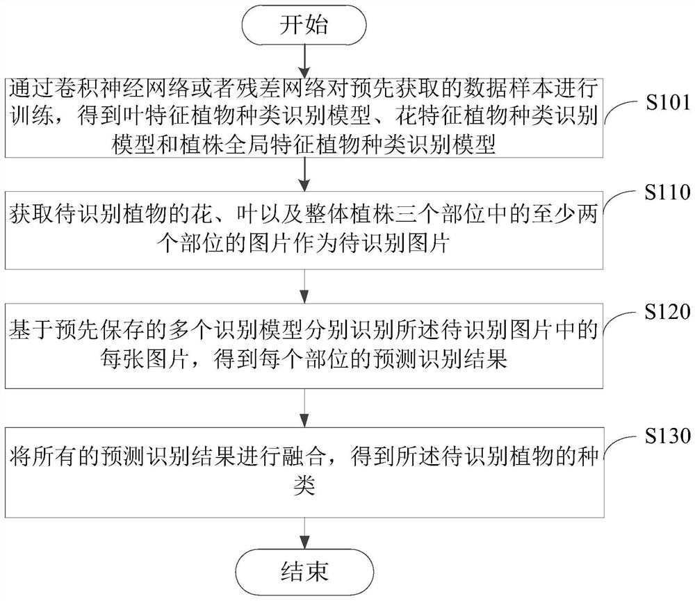 A plant species identification method and device