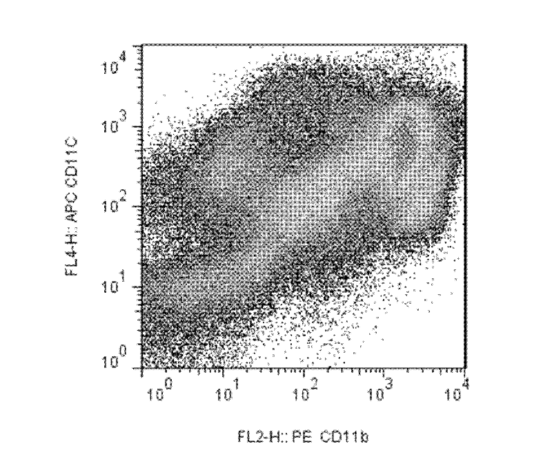 Separation and purification method of mouse intestinal epithelium mucosa lamina propria dendritic cells