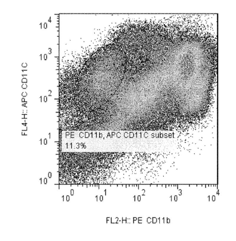 Separation and purification method of mouse intestinal epithelium mucosa lamina propria dendritic cells