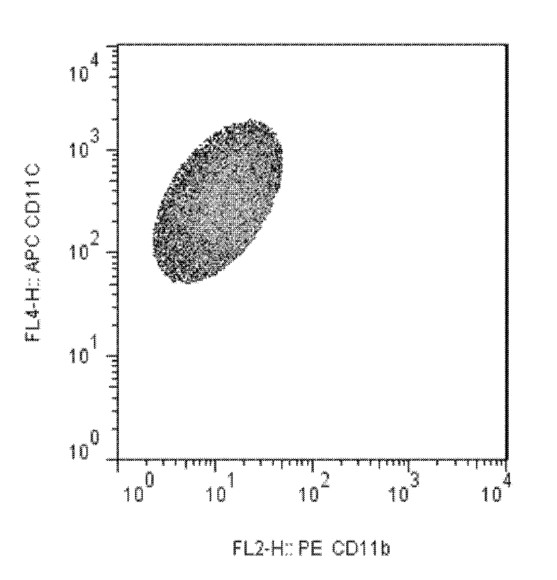 Separation and purification method of mouse intestinal epithelium mucosa lamina propria dendritic cells