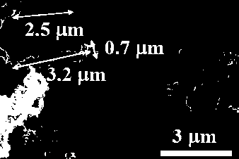 Preparation method and application of polyaniline nanowire array/three-dimensional graphene