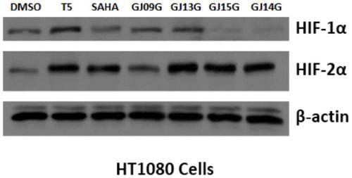 Dual inhibitor of prolyl hydroxylase and histone deacetylase, preparation method and application thereof