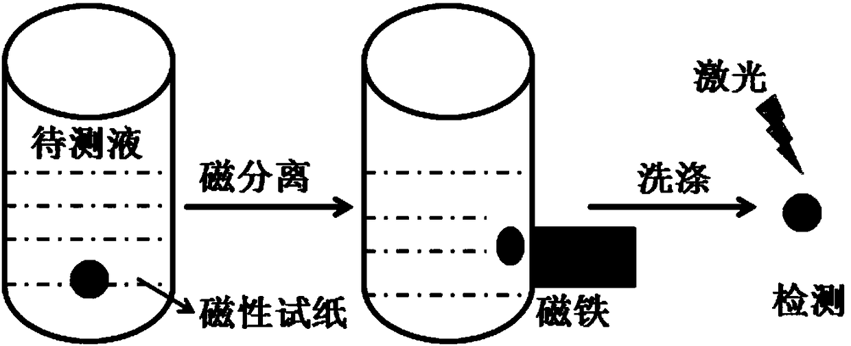 SERS-based magnetic test paper for detecting nitrite as well as preparation method and use method thereof