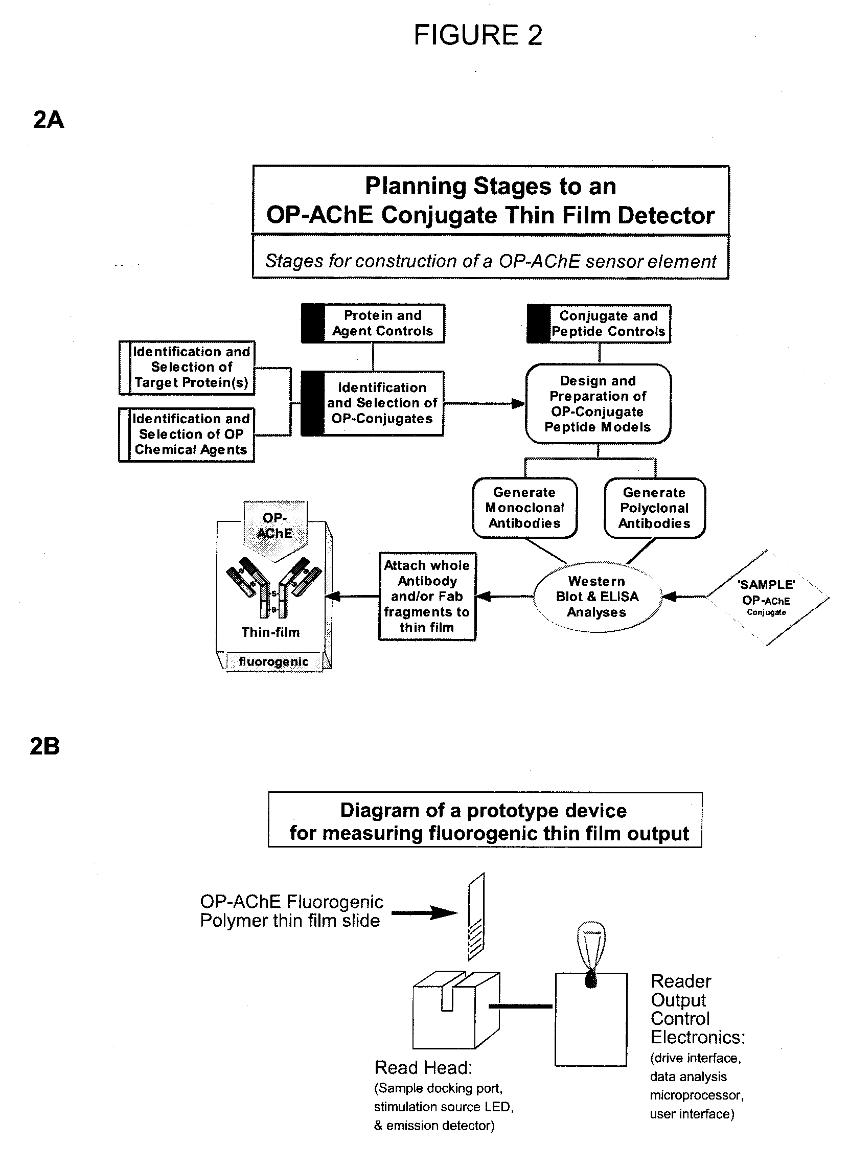 Pesticide biomarker