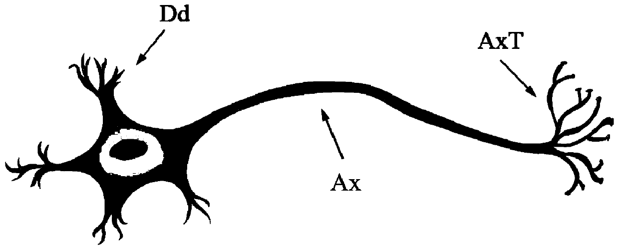 Electronic neuron based on skyrmion and artificial neural network