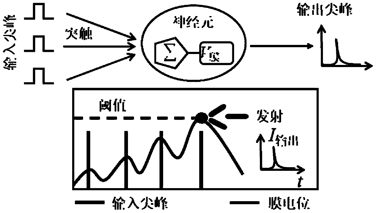 Electronic neuron based on skyrmion and artificial neural network