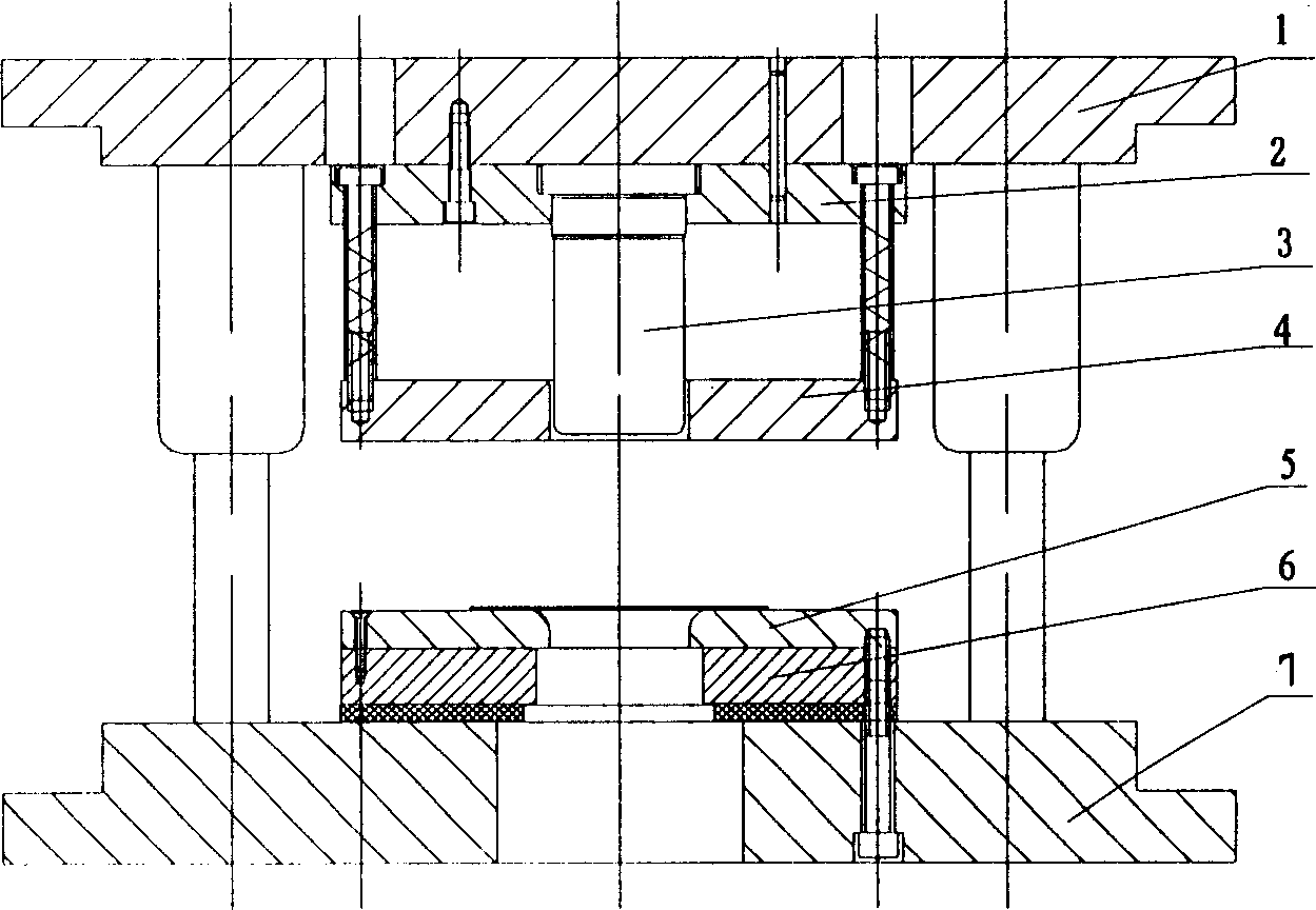 Magnesium alloy plate working method and special apparatus