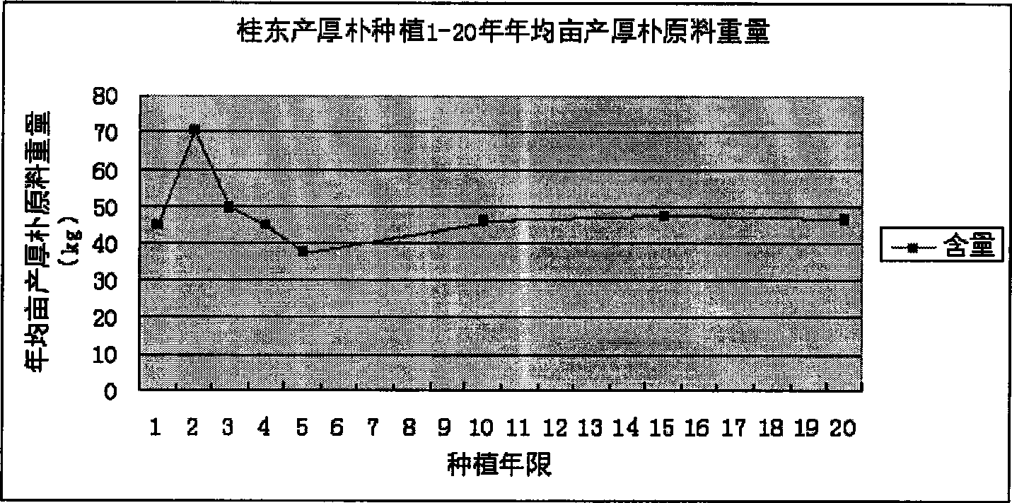 Preparation method of high-purity magnolia bark total-phenol