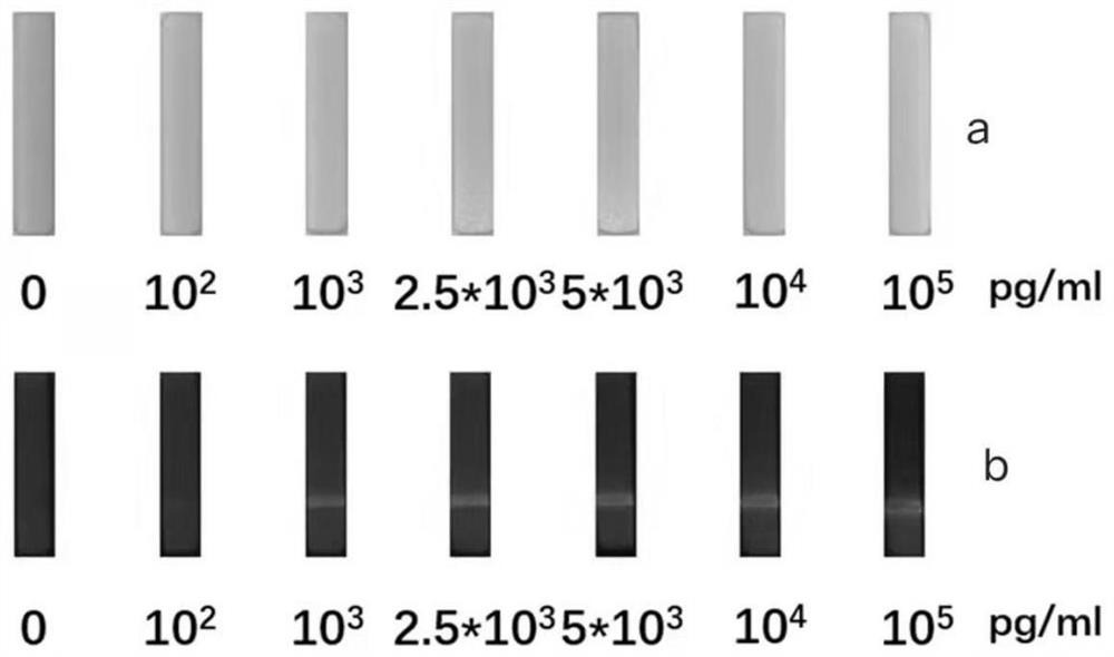 Multi-mode aggregation-induced fluorescence immunochromatography test paper and preparation method thereof