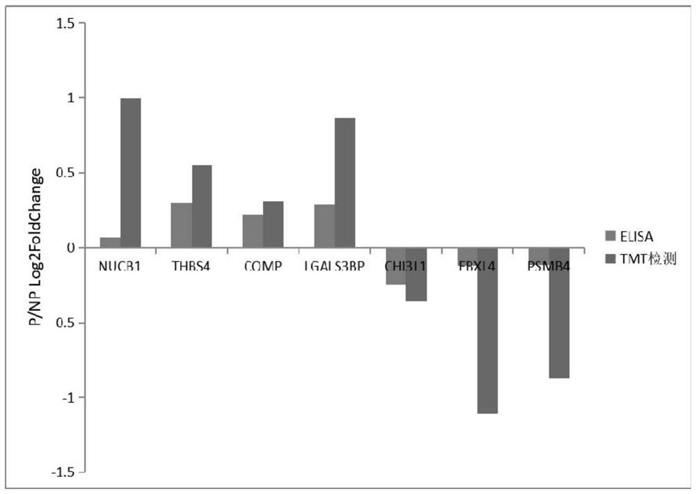 Protein biomarker for diagnosis of early pregnancy of sheep and method for detecting early pregnancy of sheep by using protein biomarker