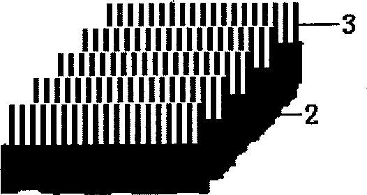 Field emitting cathode and its making process and application