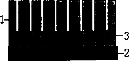 Field emitting cathode and its making process and application