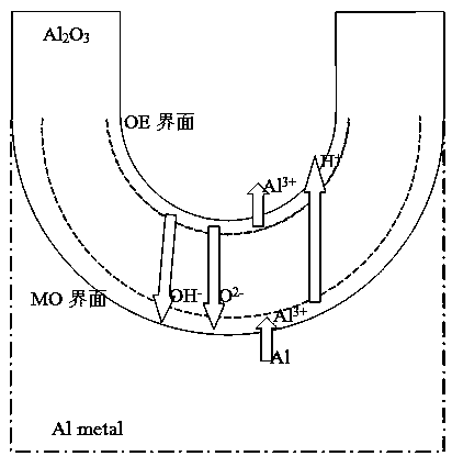 Method for preparing stainless steel-based micro-nano array beta-PbO2 anode material