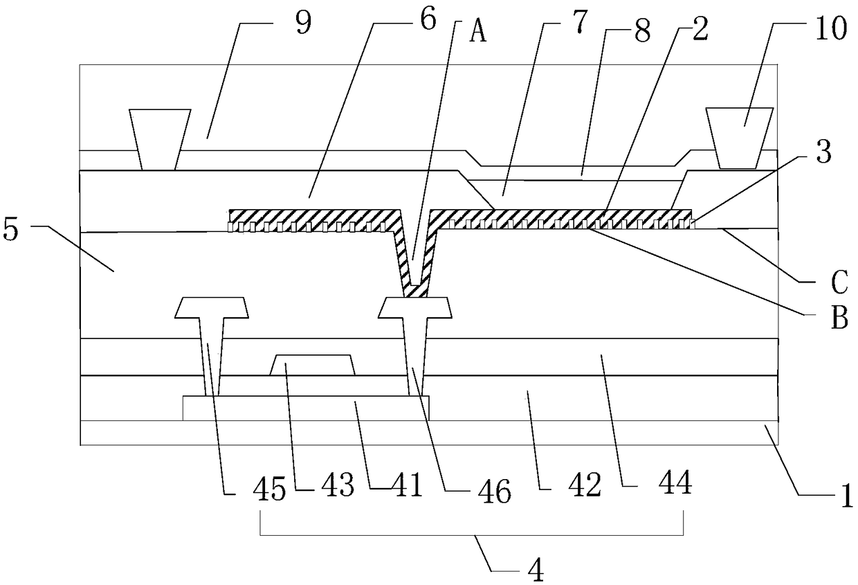 Flexible display screen and display device