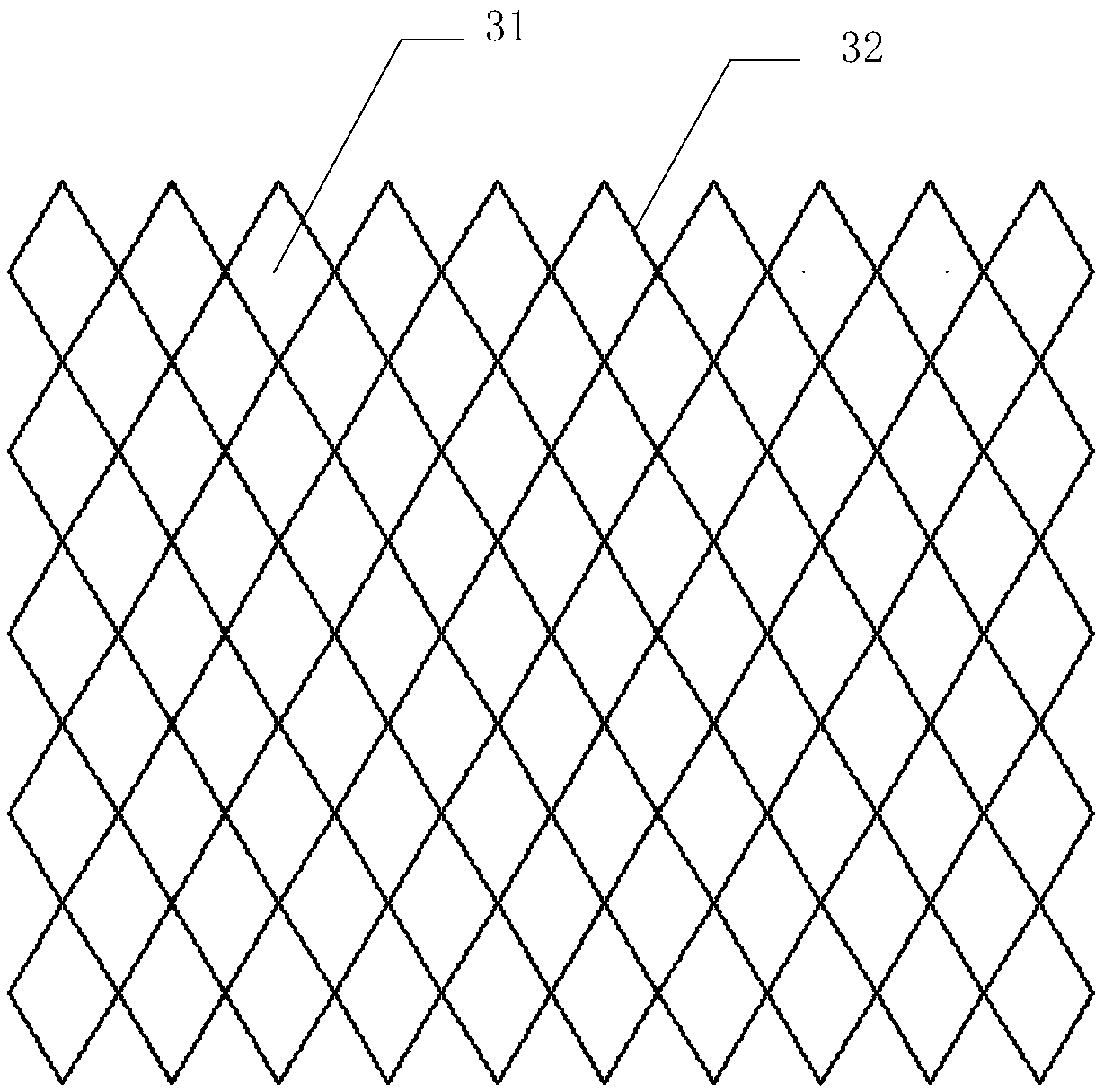 Flexible display screen and display device