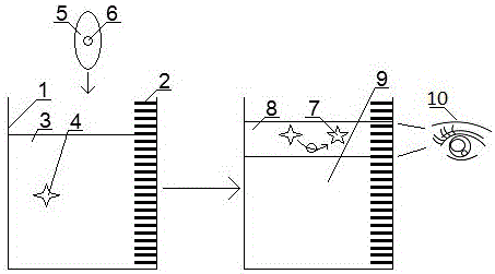 Simple and low-cost silver ion visual quantitative detection method